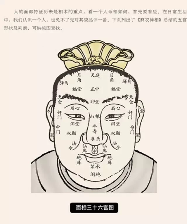 中国传统面相术常识（值得收藏）-玄妙易卜国学