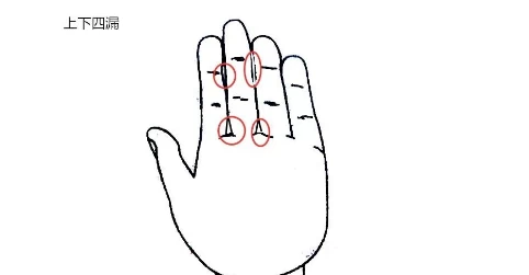 图片[9]-五指指的哪五指-玄妙易卜国学