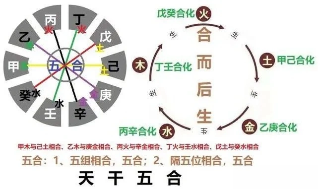 五行/八卦/天干/地支等知识点（各科通用）