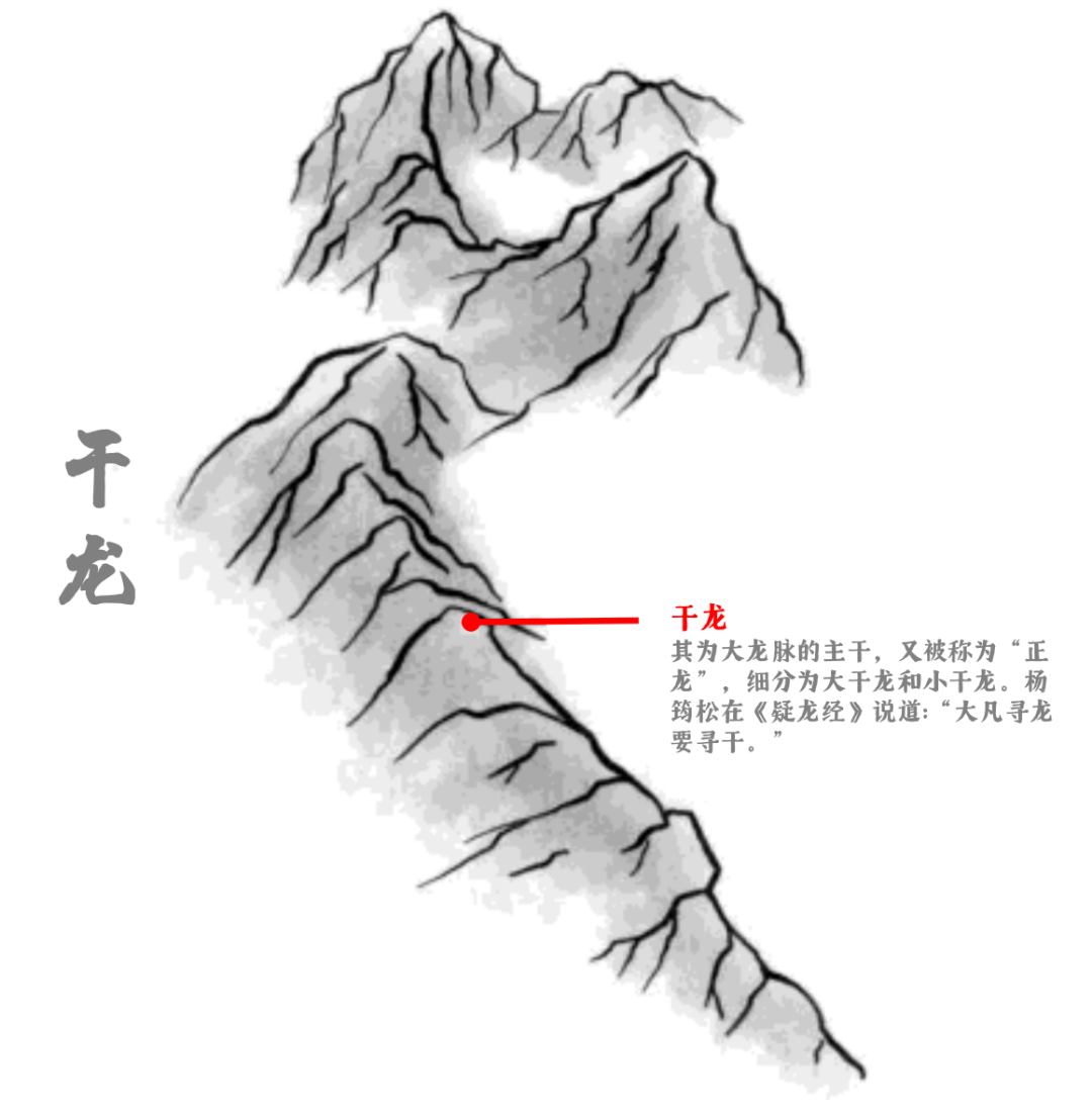 中国风水学中“龙”的分类