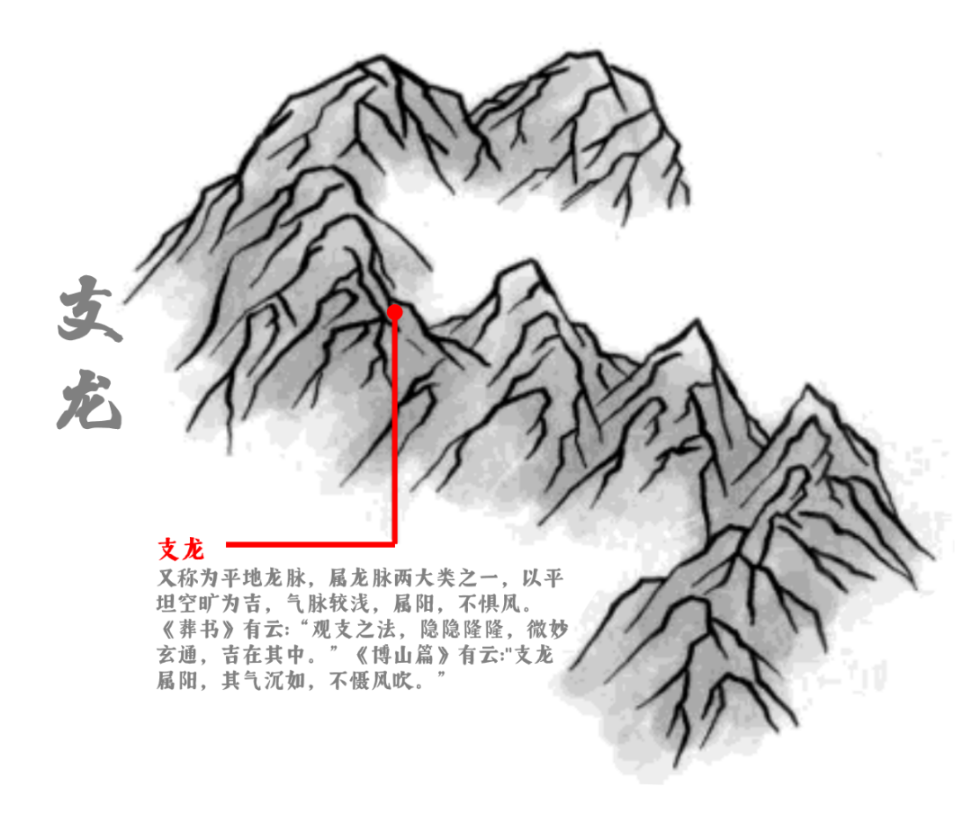 中国风水学中“龙”的分类