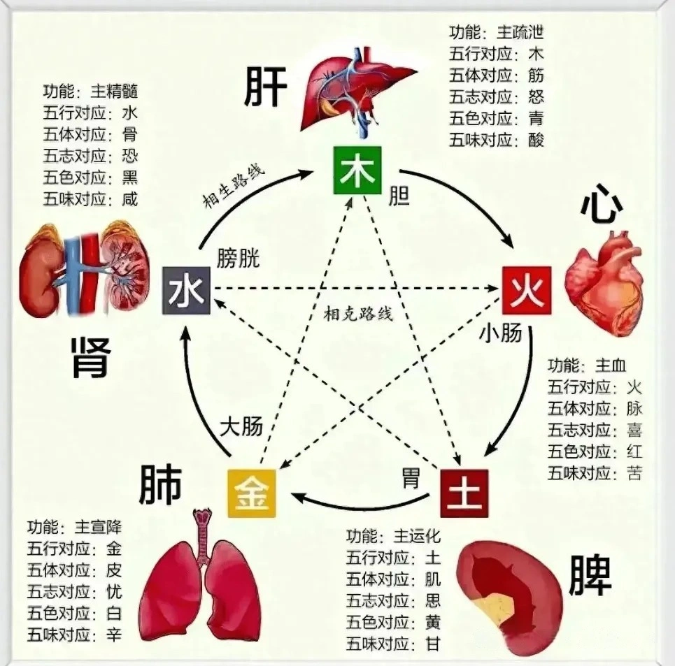 四柱断疾病精髓，学会能成半个郎中